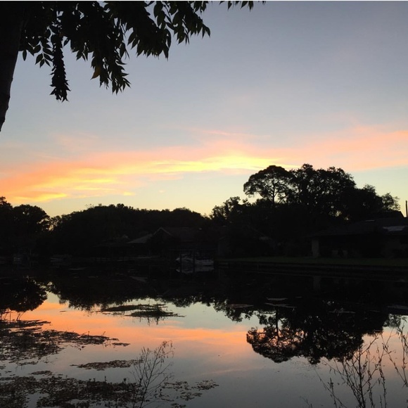 Meet your Posher, Yvette - Picture 1 of 1